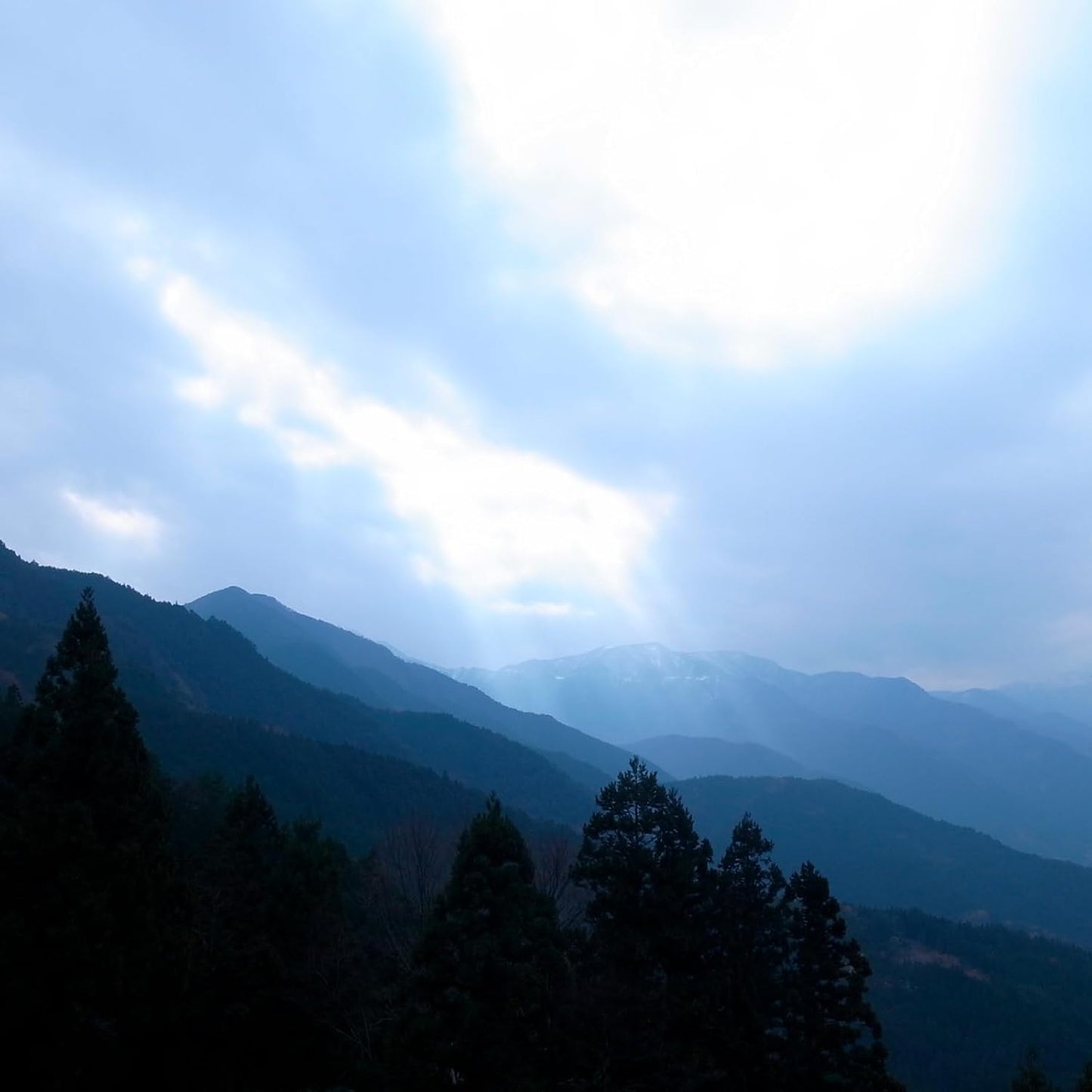 본가 마츠우라 고추 우메슈 720ml 12도 무료배송 – 매실의 달콤함과 매운 고추의 대담한 만남, 중독적 프리미엄 리큐르