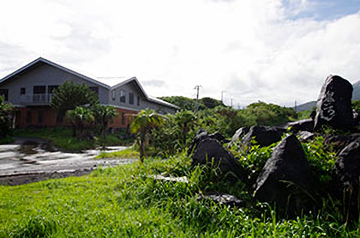 나사케시마 보리 소주 700ml 무료배송