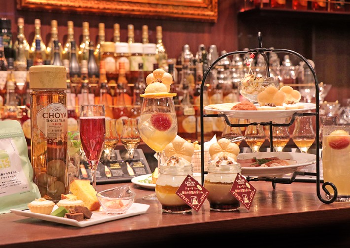 초야 사라리토시타 우메슈 10도 250ml x 24캔 무료배송 – 가볍고 부드러운 매실 향의 데일리 매실주