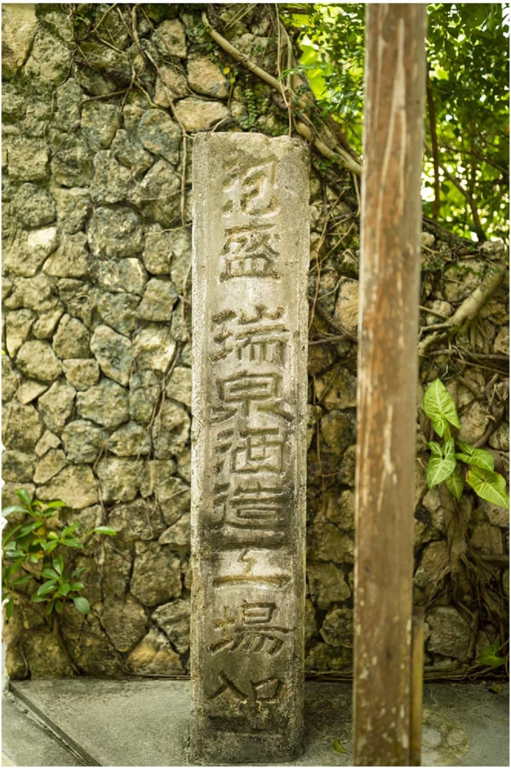 즈이센 세이류 (조이센 청룡) 오키나와 전통 푸른 용의 향기 30도 - 아와모리 소주 1.8L 무료배송