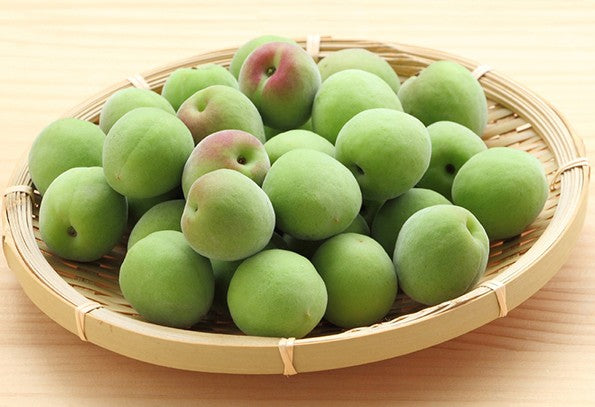 야기 주조 월가세 매실 원주 20도 1.8L 무료배송 – 한 방울도 희석하지 않은 진한 풍미의 프리미엄 매실주