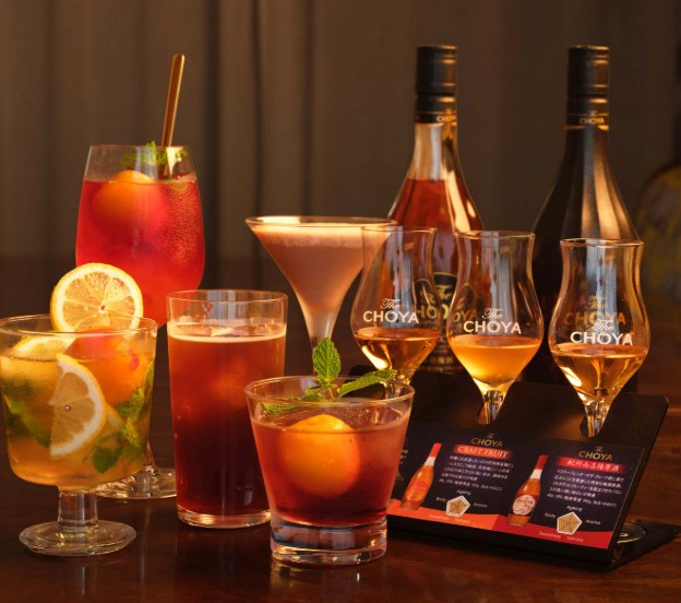 초야 흑당 우메슈 브랜디 블렌드 14도 700ml 무료배송 - 달콤쌉싸름한 흑설탕의 매력