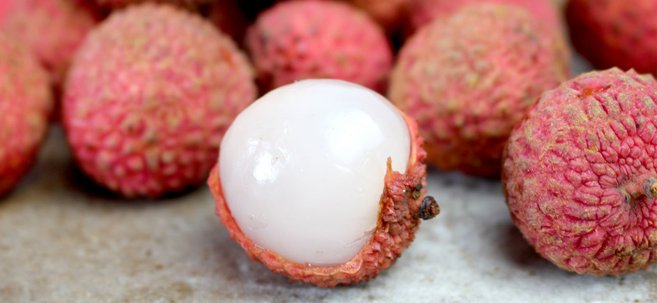 키타지마 소금 라이치 1.8L 7도 무료배송 - 산뜻한 라이치와 소금 한 꼬집이 만든 깔끔한 트로피컬 밸런스