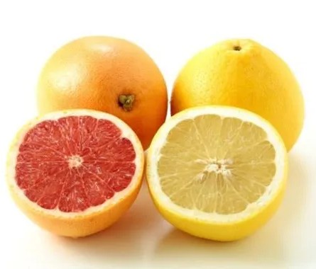 삿포로 진한 자몽 사워의 소 1800ml 20도 (원액) 무료배송 – 업소용 대용량 상큼쌉싸름 화이트 자몽 칵테일 베이스