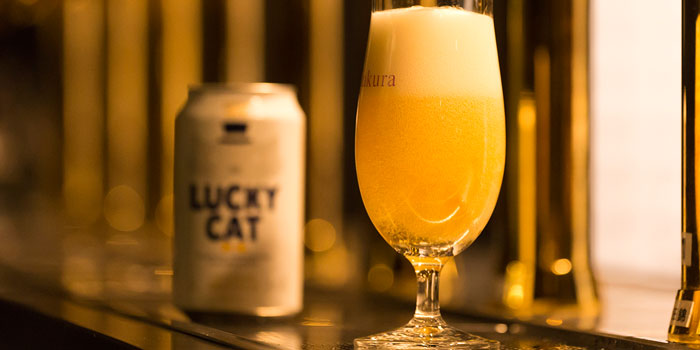 럭키캣·럭키도그·럭키치킨 3종 6캔 세트 무료배송 – 지친 하루를 웃게 만드는 귀여운 행운의 크래프트 맥주