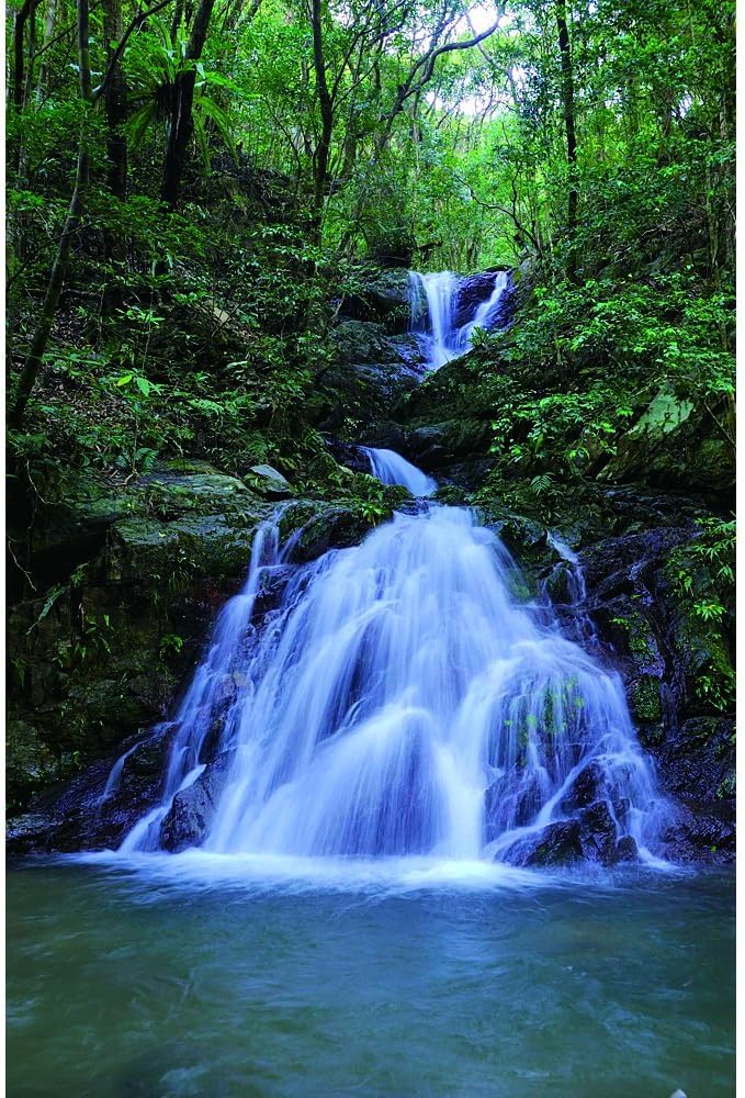 렌토 흑설탕 음악 숙성 소주 25도  1.8L 종이팩 무료배송