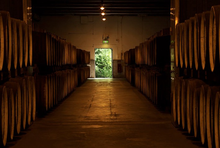 장인의 꿈을 담다 – 산토리 마이스터즈 드림 305ml × 10캔 프리미엄 생맥주 무료배송