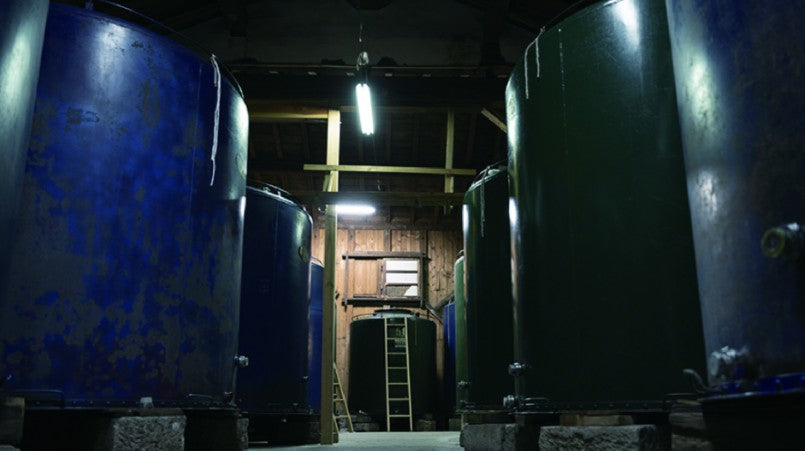 유큐노 우메슈 시즈쿠 720ml 13.5도 무료배송 - 4년 숙성 깊이와 산뜻한 산미가 살아있는 프리미엄 매실주