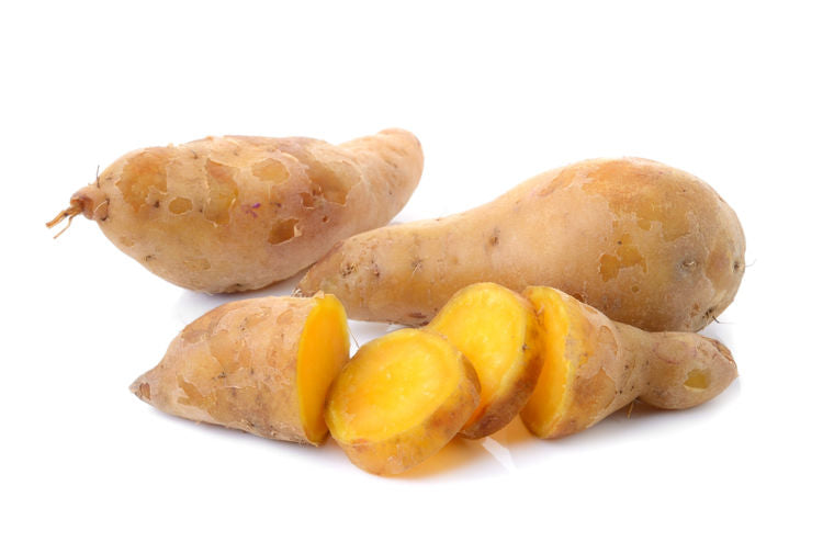 텐손 코린 (천손 강림)  고구마 소주 25도 1.8L 종이팩 무료배송