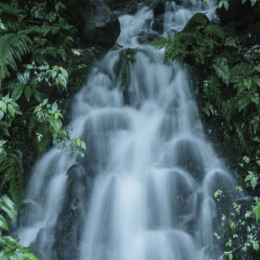 매실타로 니고리 우메슈 1.8L 12도 무료배송 – 남쪽매실 과육이 가득한 진한 풍미, 세계가 인정한 농밀한 매실주