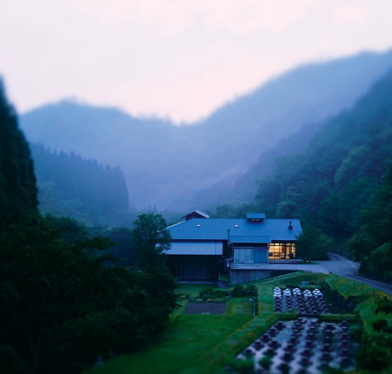 토리카이 긴카 25도 720ml 무료배송 – 향기로운 프리미엄 쌀 소주