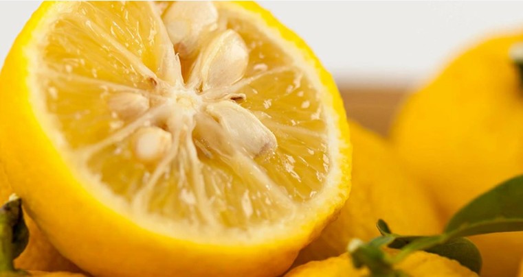 교토 유자주 720ml 10도 무료배송 – 교토산 유자로 빚은 상큼하고 향긋한 프리미엄 리큐르