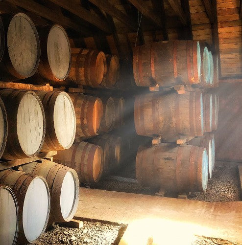 와노 WANO 위스키 매실주 ‘후지의 안개’ 16도 700ml 무료배송 — 위스키 블렌드가 선사하는 프리미엄 우메슈