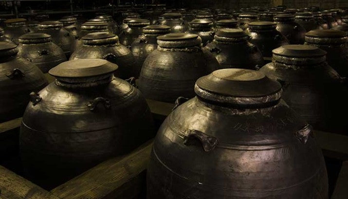 세이후쿠 유자 시쿠와사 1.8L 10도 무료배송 - 상큼한 과즙과 아와모리의 깊이, 섬 향기로 완성한 균형 리큐어