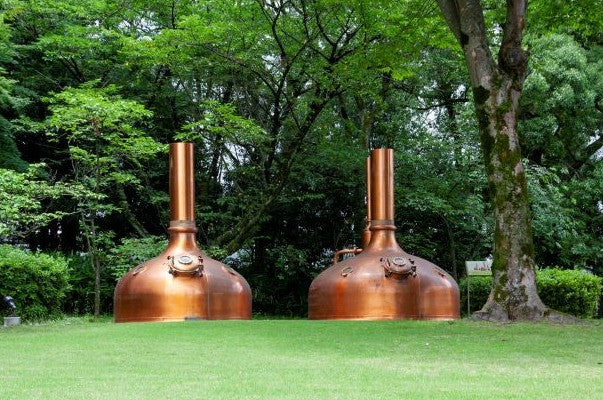 일본 인기 프리미엄 라거! 스프링 밸리 496 350ml × 24캔 무료배송 – 깊고 진한 크래프트 맥주