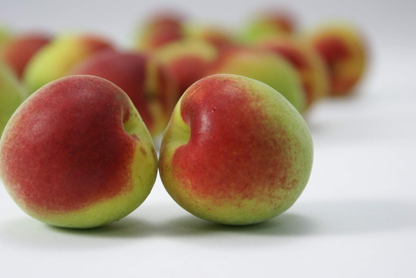 나카노BC 기슈의 매실과 레몬 우메슈 720ml 12도 무료배송 - 상큼 레몬과 깊은 남고매의 청량 조화