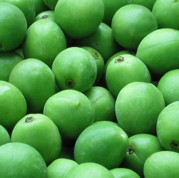 상등 우메슈 14도 (갈색 라벨) 720ml 무료배송 - 무첨가 브랜디 숙성 프리미엄 매실주 집에서 즐기는 전통의 깊은 맛