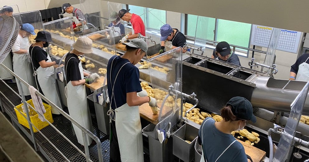 [사토주조] 사토 무기 보리 소주 25도 720ml 무료배송 – 보리의 고소함과 장인의 철학이 살아있는 프리미엄 증류 소주