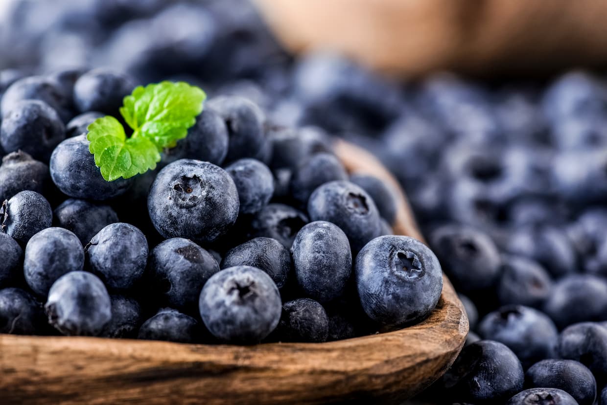 나카노 BC기슈 블루베리 매실주 720ml 12도 무료배송 - 진한 보랏빛 블루베리와 남고매가 만들어낸 디저트 같은 달콤한 한잔