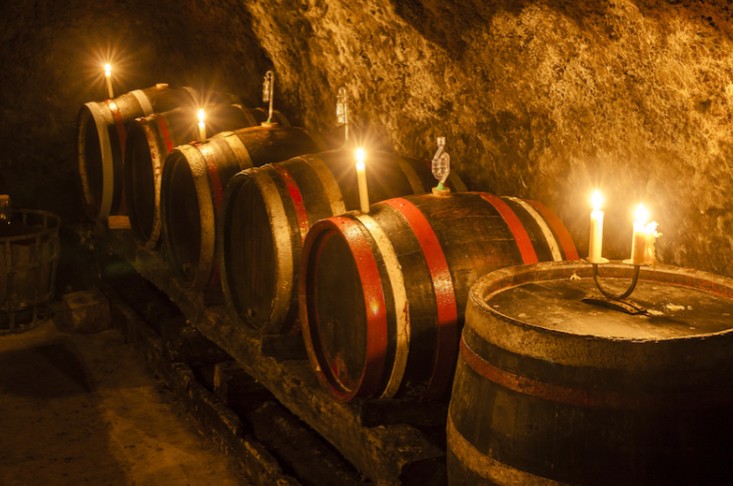 【환상의 보리소주】카네하치 보리소주 25도 (사쓰야 주조) 1.8L 무료배송