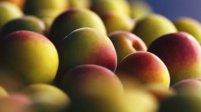 유메히비키 로즈 우메슈 프리미엄 200ml 14% 무료배송 – 2배 농축된 장미 에센스와 숙성 매실의 깊은 조화, 선물용 프리미엄 감성 리큐어