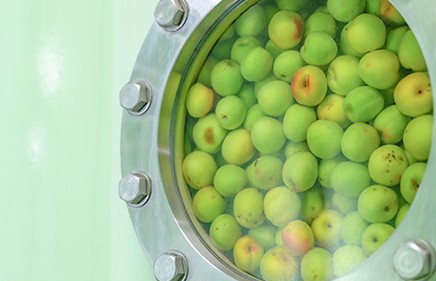 나카노BC 기슈 우메슈와 완숙 미칸(감귤) 1.8L 12도 무료배송 - 상큼하게 달콤한 와카야마 시트러스 우메슈의 정석