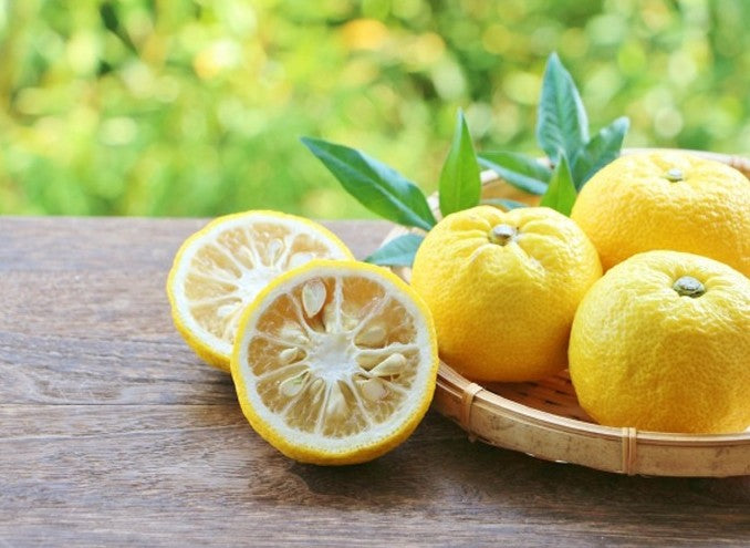 나카노BC 기슈 유즈 우메슈 1.8L 12도 무료배송 -유자향 가득 산뜻하고 깔끔한 교토식 과실 매력의 스테디셀러