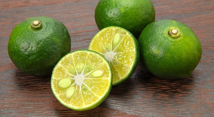 유자코마치 “S” 500ml 7도 무료배송 - 이키 소주 베이스에 시쿠와사 과즙을 더한 상큼 프리미엄 유자 리큐르