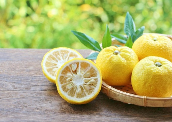 세이후쿠 유자 시쿠와사 1.8L 10도 무료배송 - 상큼한 과즙과 아와모리의 깊이, 섬 향기로 완성한 균형 리큐어