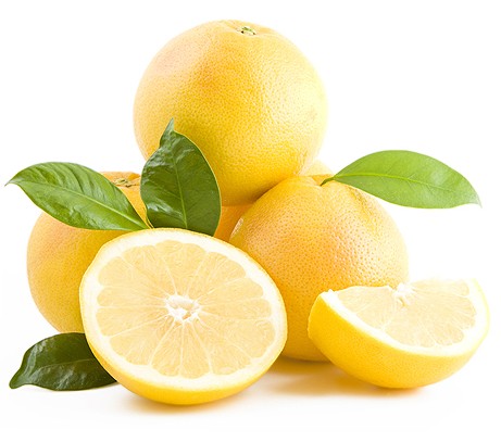 삿포로 진한 자몽 사워의 소 1800ml 20도 (원액) 무료배송 – 업소용 대용량 상큼쌉싸름 화이트 자몽 칵테일 베이스