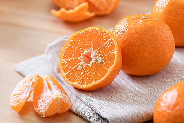 시노자키 마루지무라의 유자 '하지메마시다' 유자 리큐어 6도 1.8L 무료배송 - 유자 과즙과 벌꿀의 부드러움이 어우러진 상큼달콤 리큐어