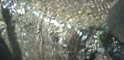 온나나카세 준마이다이긴죠 1.8L 무료배송