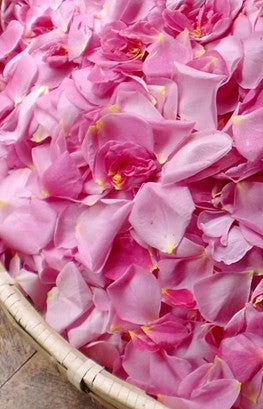 유메히비키 로즈 우메슈 프리미엄 200ml 14% 무료배송 – 2배 농축된 장미 에센스와 숙성 매실의 깊은 조화, 선물용 프리미엄 감성 리큐어