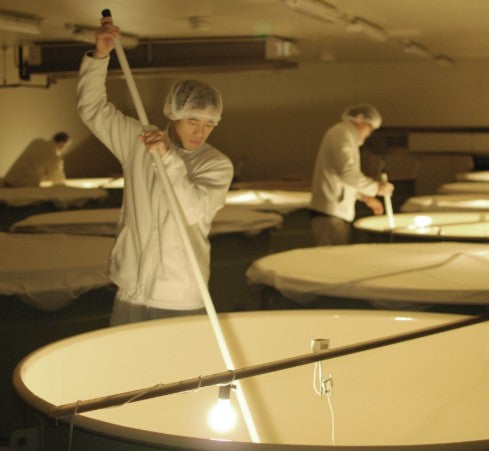 [선물상자] 닷사이39 준마이다이긴죠 720ml