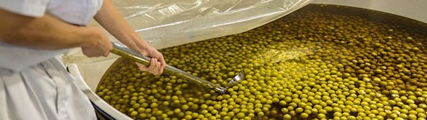 백년의 정성을 담은 고급 매실주, ‘백년 우메슈 13% 720ml’ 무료배송 – 진한 매실 풍미의 깊은 감동