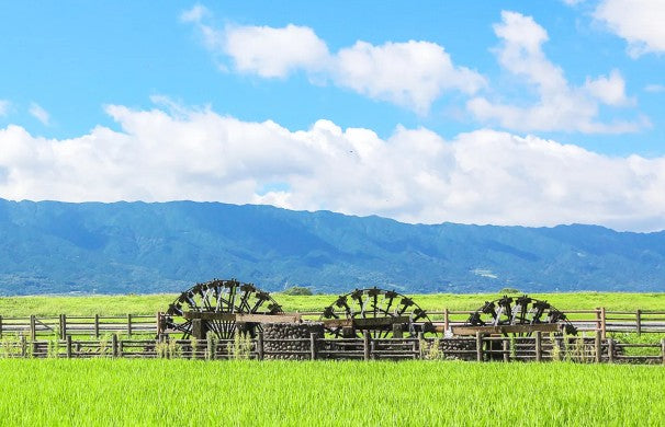 아사쿠라 브랜디 캐스크 피니시 40도 500ml 무료배송 – 브랜디 오크에서 마무리 숙성한 깊고 달콤한 프리미엄 보리소주