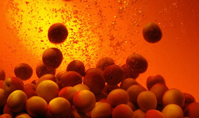 초야 블랙 700ml 14도 무료배송 – 프랑스 브랜디 블렌드로 완성한 깊고 고급스러운 매실주