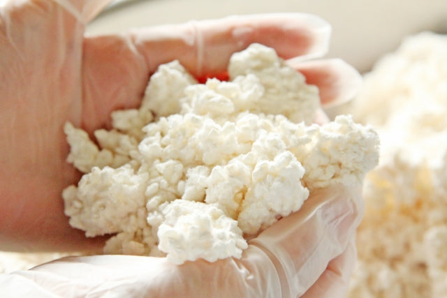 코하쿠노 유메 25도 1.8L 무료배송 – 통숙성으로 완성된 깊고 부드러운 보리소주