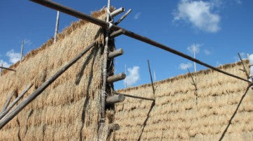 치쿠하 오이스터 굴전용 준마이 720ml 무료배송