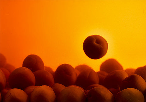 요로타 주조 매실주 620ml 13도 무료배송 – 사이타마의 정통 방식으로 빚은 고급 우메슈