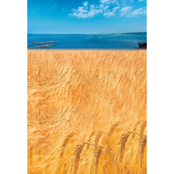 이키노시마 혼카쿠 무기 소주 25도 보리소주  1.8L 무료배송