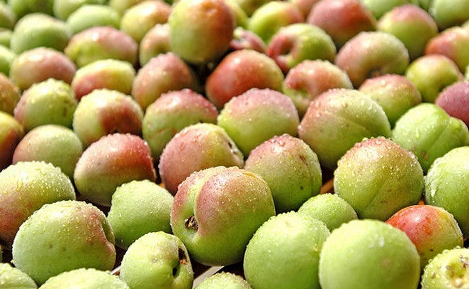 만세락 (만세의 기쁨) "5년 숙성" 가가우메슈 720ml 14도 프리미엄 매실주 - 5년 숙성이 만든 깊은 풍미, 고급 선물로 인기