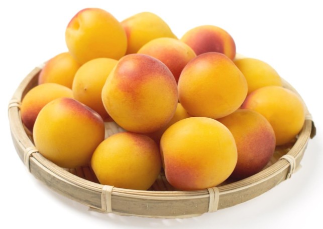 쿠마노카스미 니고리 (탁한 질감) 우메슈 720ml 8도 무료배송 – 과육이 살아 있는 탁주 느낌 매실주, 부드러운 풍미의 인기상품