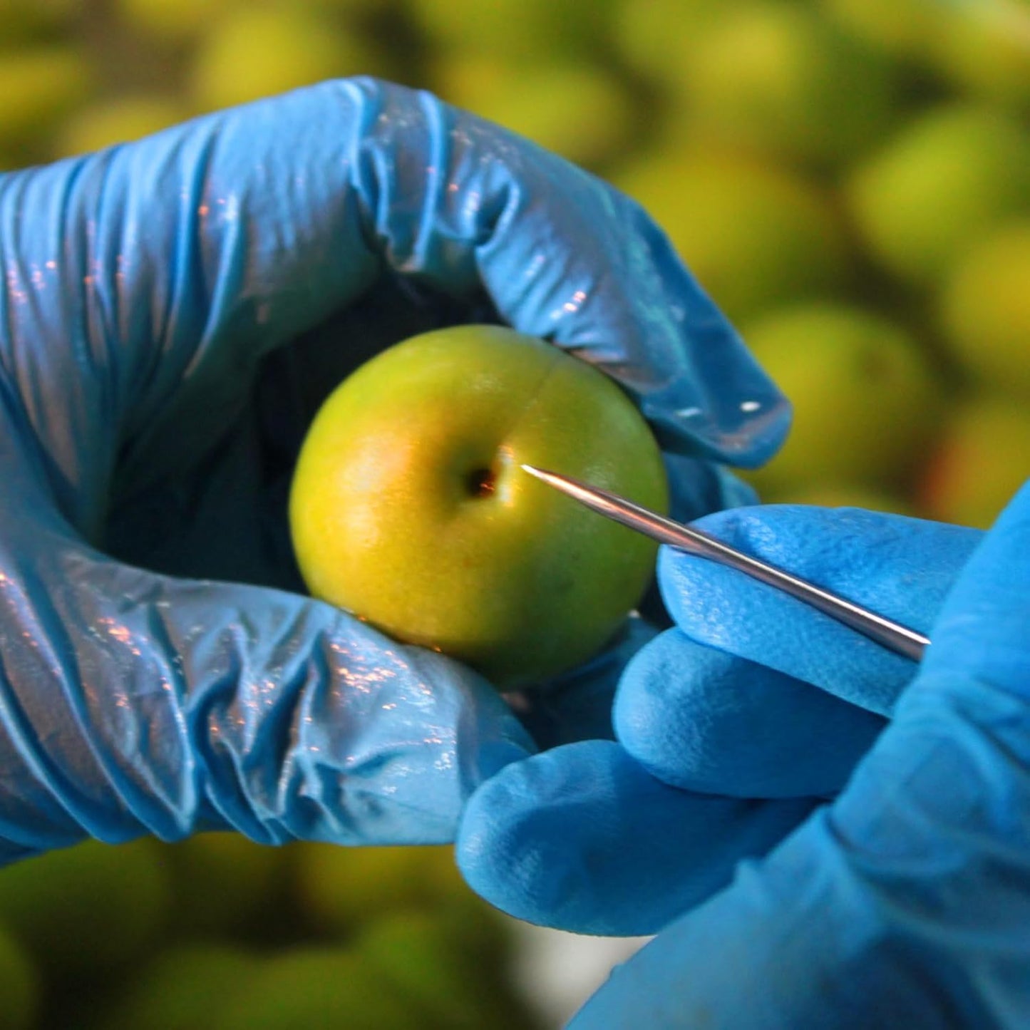 본가 마츠우라 니고리 우메슈 12도 500ml 무료배송 – 농밀한 과육의 진한 매혹, 매실 디저트 같은 프리미엄 주류