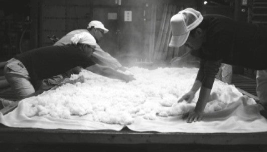 키타지마 소금 밀크 720ml 7도 무료배송 - 연유와 치즈의 부드러움에 소금 한 꼬집, 달지 않게 사르르 녹는 디저트 리큐르