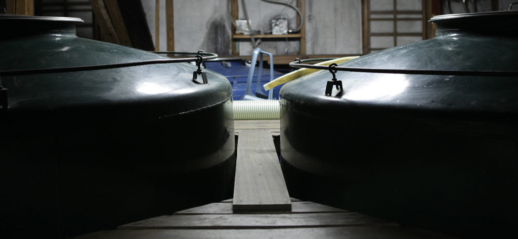 히야네 키라비 생원주 일본의 인기 높은 준마이 긴죠 17도 1.8L 무료배송