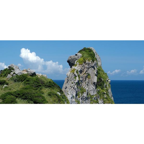 이키노시마 혼카쿠 무기 소주 25도 보리소주  1.8L 무료배송