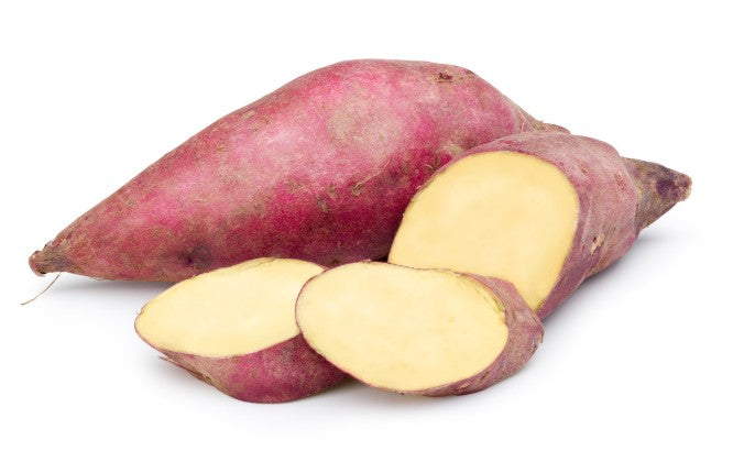 시라나미 가고시마 프리미엄 고구마 소주 25도 1800ml 무료배송