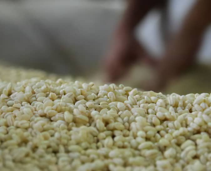 사토 무기 보리 소주 25도 1.8L 무료배송