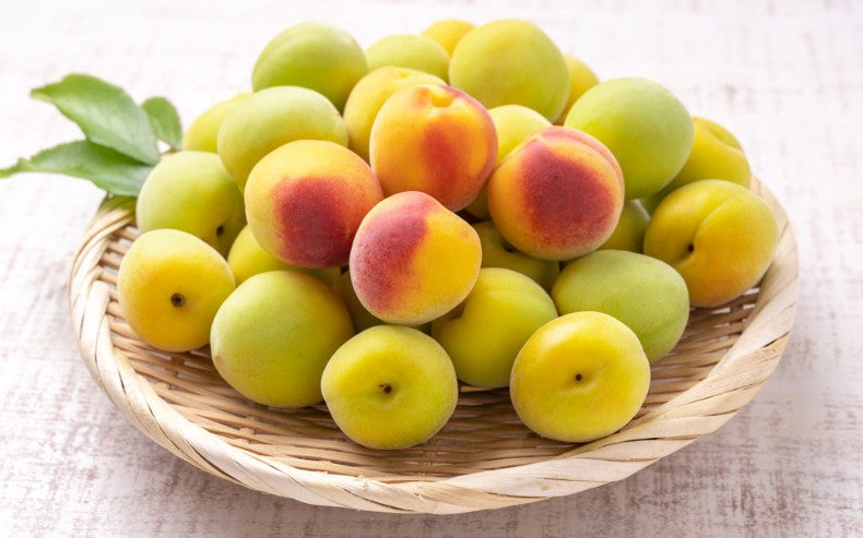 아사쿠라 우메슈 20도 500ml 무료배송 – 오크통 숙성으로 깊어진 풍미의 프리미엄 매실주